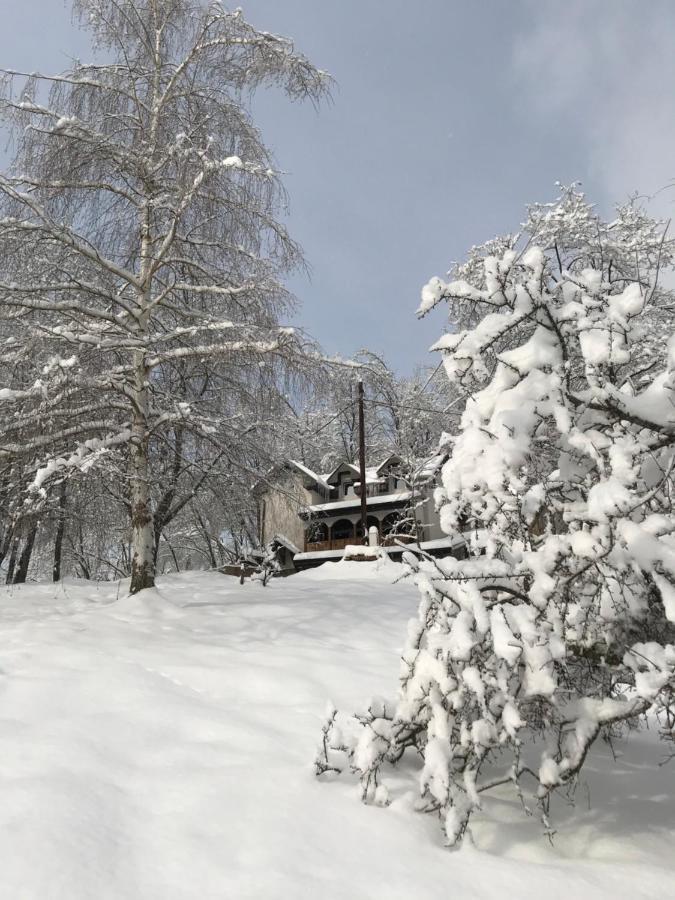 Kuca za odmor ,,Balkan” Crni Vrh Zewnętrze zdjęcie