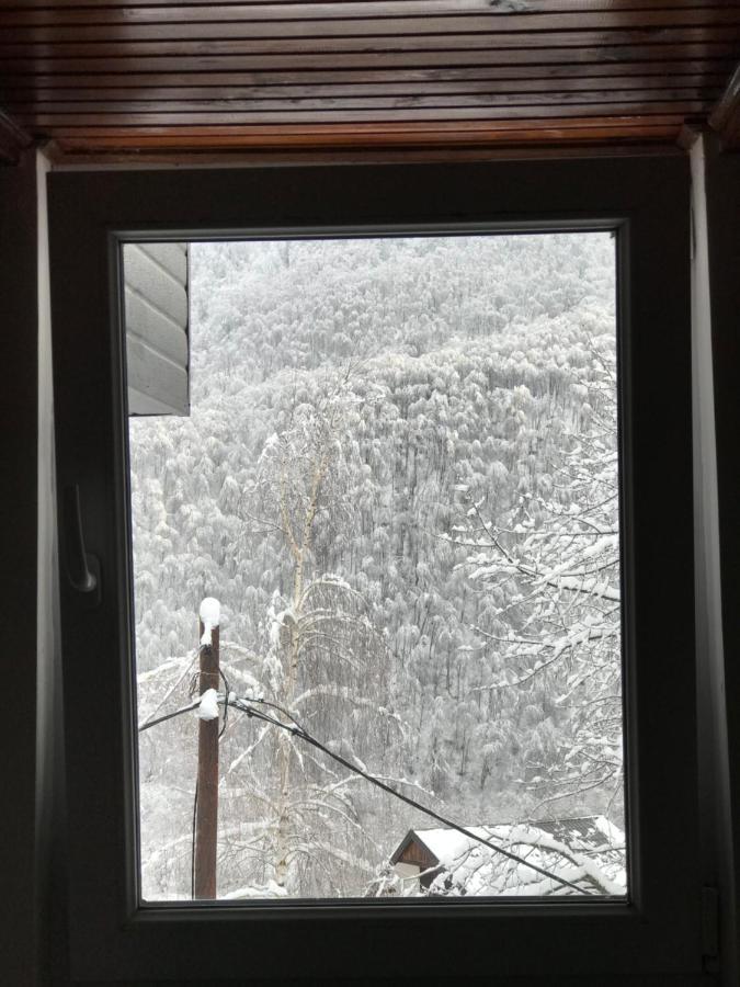 Kuca za odmor ,,Balkan” Crni Vrh Zewnętrze zdjęcie