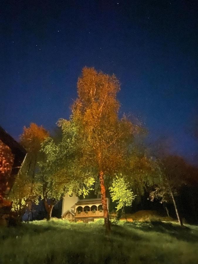 Kuca za odmor ,,Balkan” Crni Vrh Zewnętrze zdjęcie