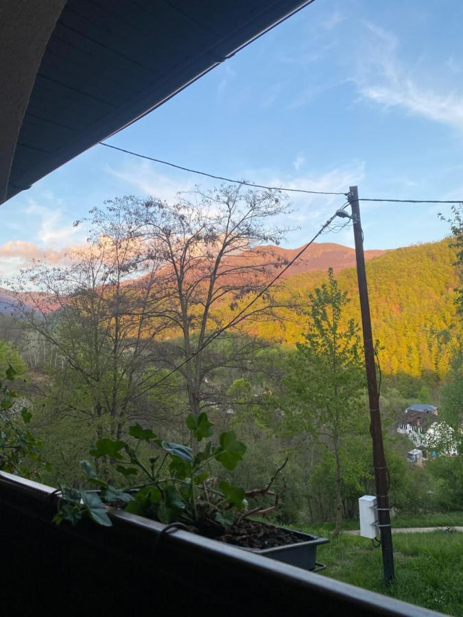 Kuca za odmor ,,Balkan” Crni Vrh Zewnętrze zdjęcie