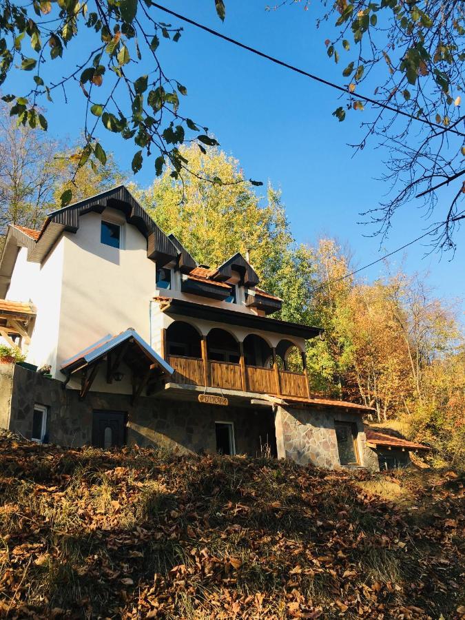 Kuca za odmor ,,Balkan” Crni Vrh Zewnętrze zdjęcie